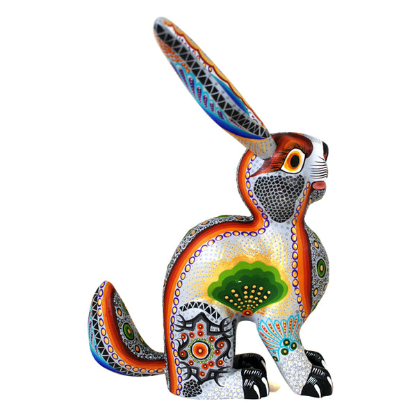 Luis Sosa:Long Eared Silver Rabbit