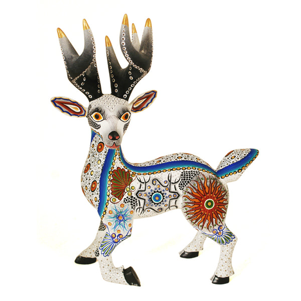 Luis Sosa: White Tail Deer