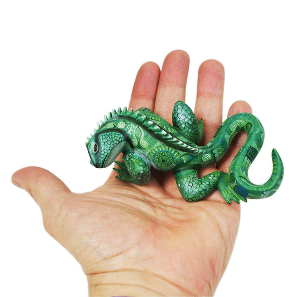 Raymundo Fabian: Miniature Iguana