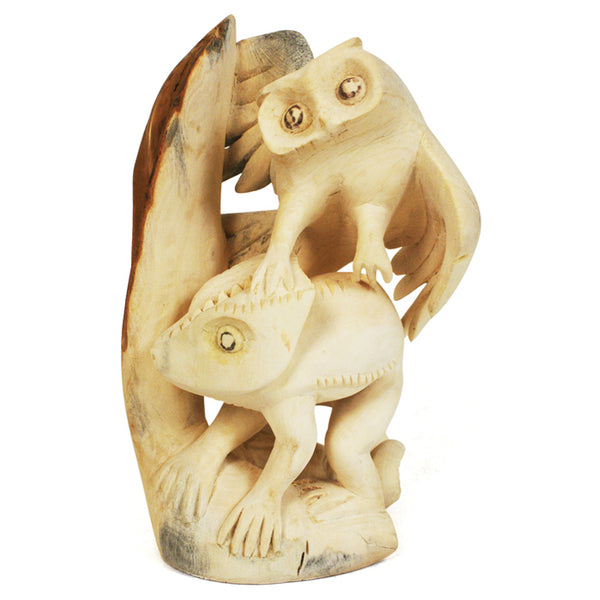 Magdaleno Fabian: Natural Owl and Lizard Sculpture