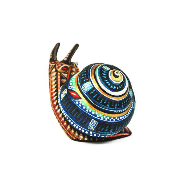Manuel Cruz: Miniature Snail