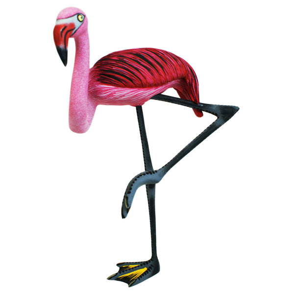 Eleazar Morales: Flamingo