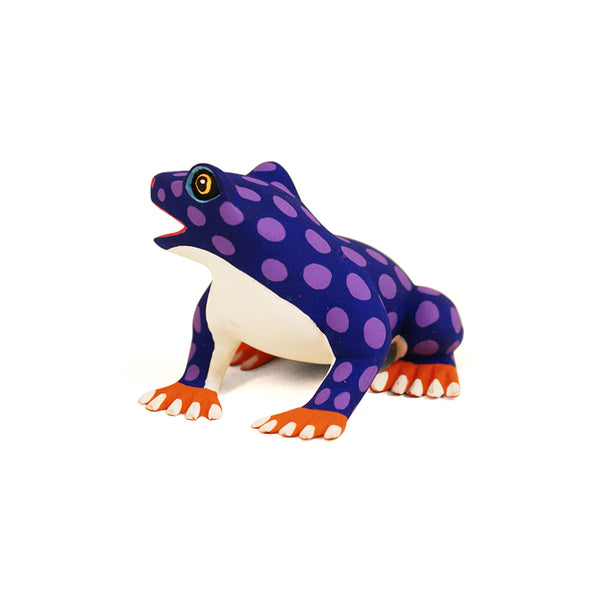 Luis Pablo: Miniature Frog