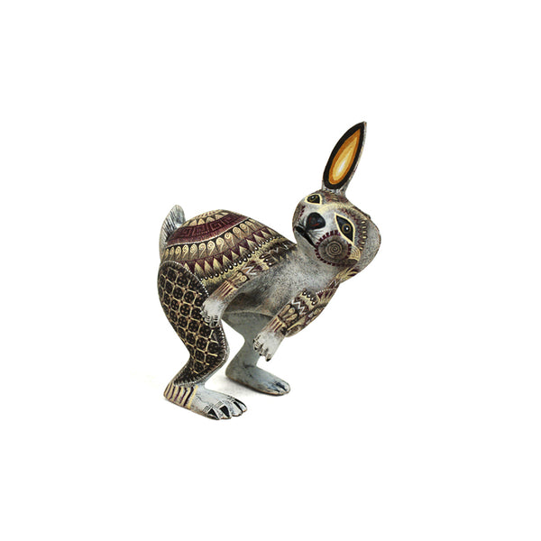 Raymundo Fabian: Miniature Rabbit