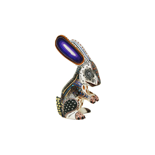 Manuel Cruz: Miniature Rabbit