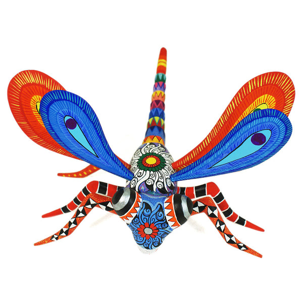 Bertha Cruz: Dragonfly