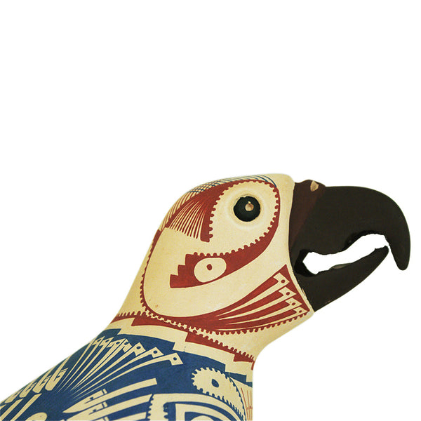 Nicolas Ortiz: Macaw