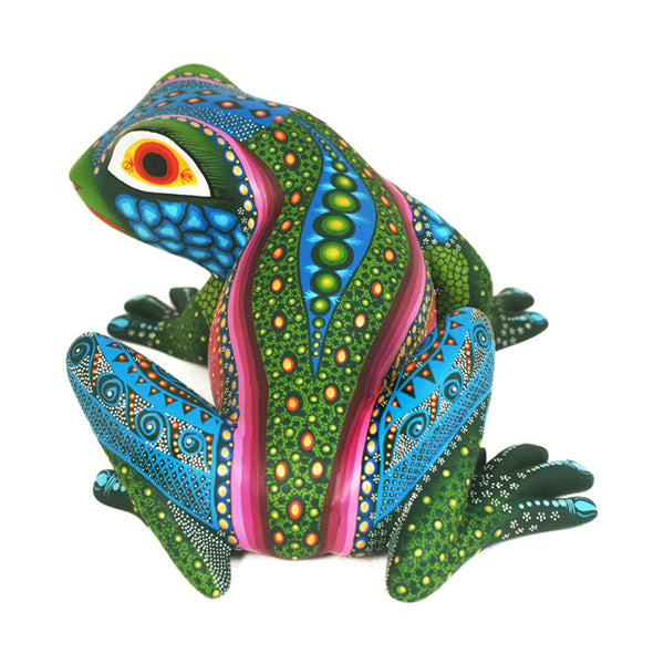 Luis Sosa: Frog