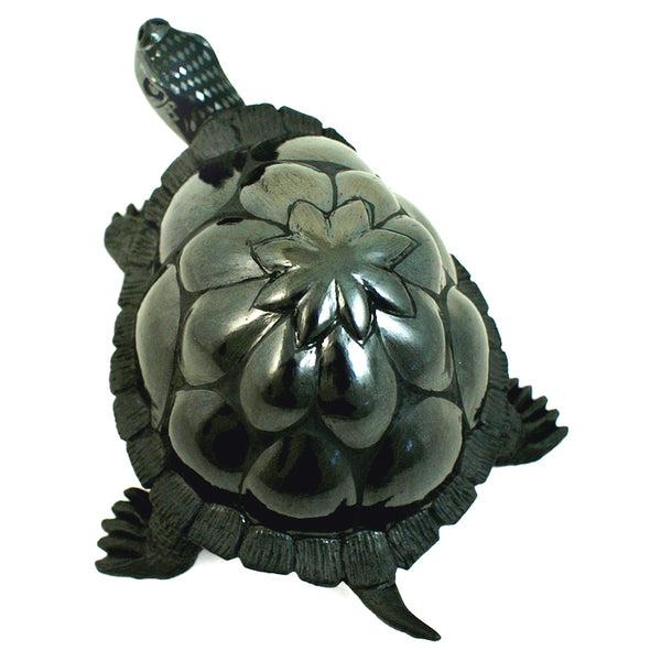 Nicolas Ortiz: Flower Turtle