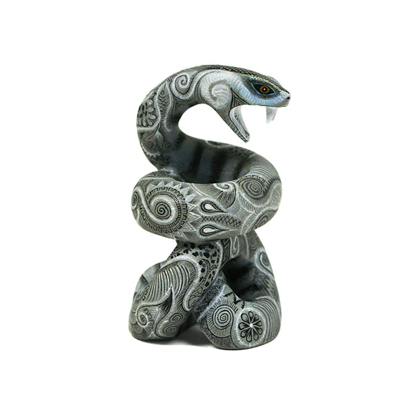 Raymundo Fabian: Miniature Snake