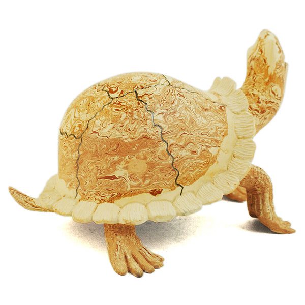 Nicolas Ortiz: Turtle