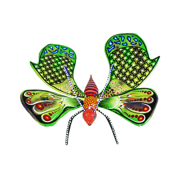 Manuel Cruz: Butterfly