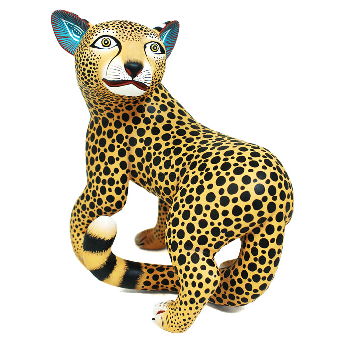 Nicolas Morales: Cheetah