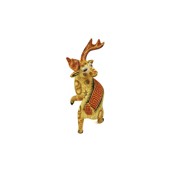 Rocio Fabian: Beautiful Miniature Deer