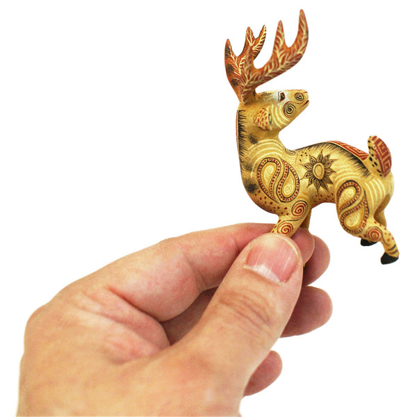 Rocio Fabian: Beautiful Miniature Deer