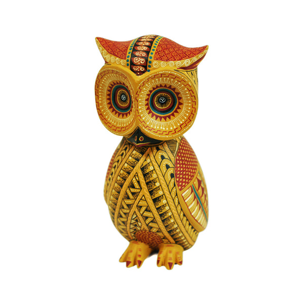 Nestor Melchor: Bashful Owl