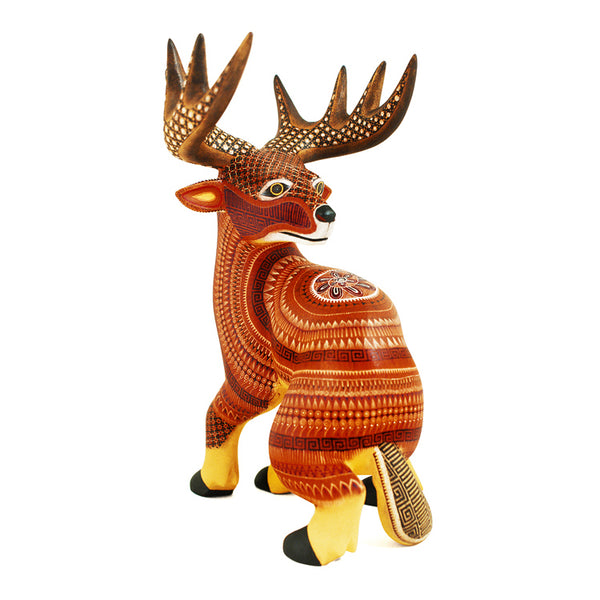 Oscar Fabian: Amazing Deer