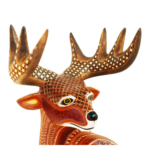Oscar Fabian: Amazing Deer