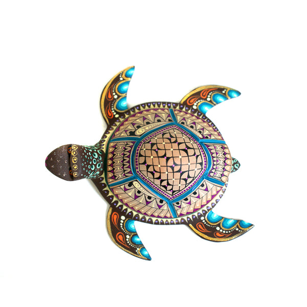 Neri & Soledad Cruz: Gorgeous Little Turtle