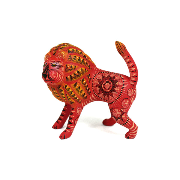 Rocio Fabian: Minature Red Lion