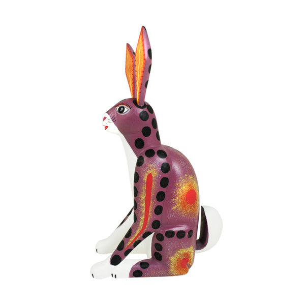 Avelino Perez: Rabbit
