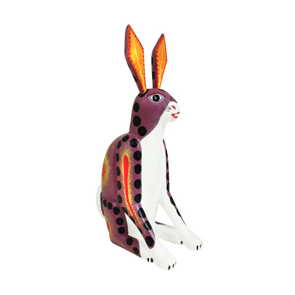 Avelino Perez: Rabbit