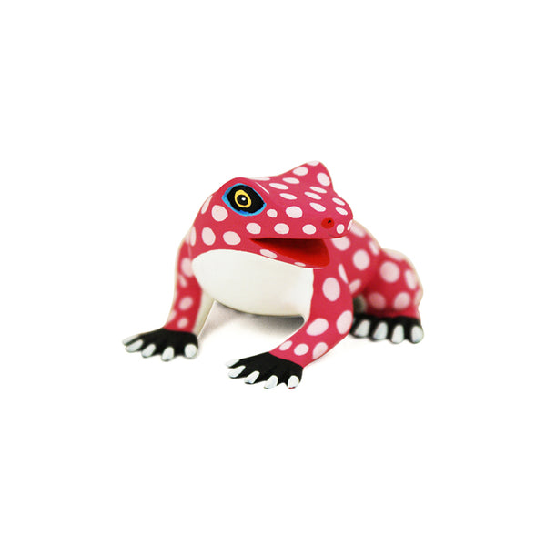 Luis Pablo: Little Frog
