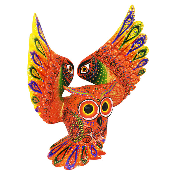 Luis Sosa: Sunburst Owl