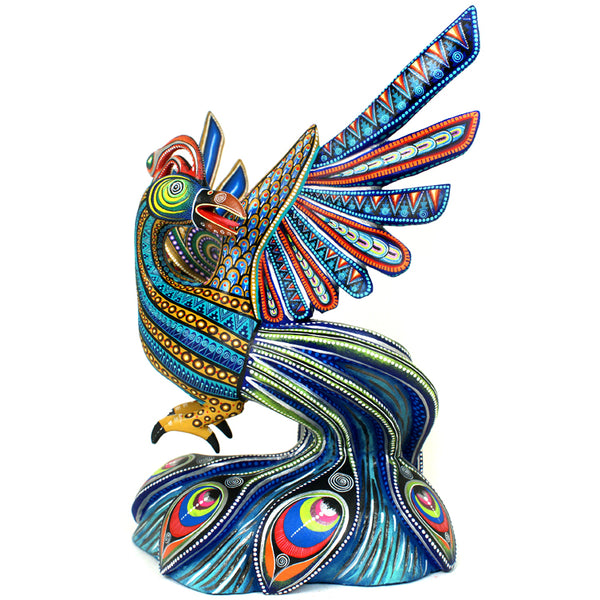 Manuel Cruz: Spectacular Peacock