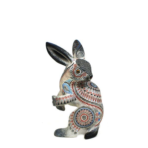 Tereso Fabian & Angelica Fabian: Miniature Rabbit