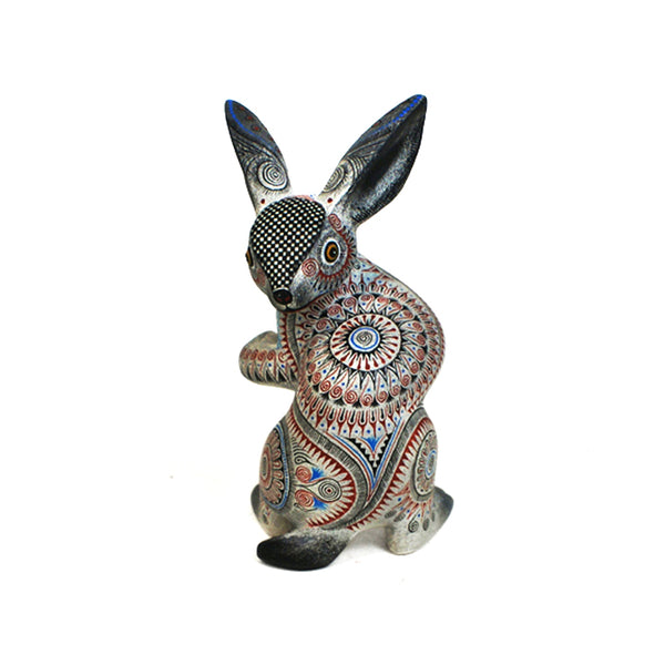 Tereso Fabian & Angelica Fabian: Miniature Rabbit