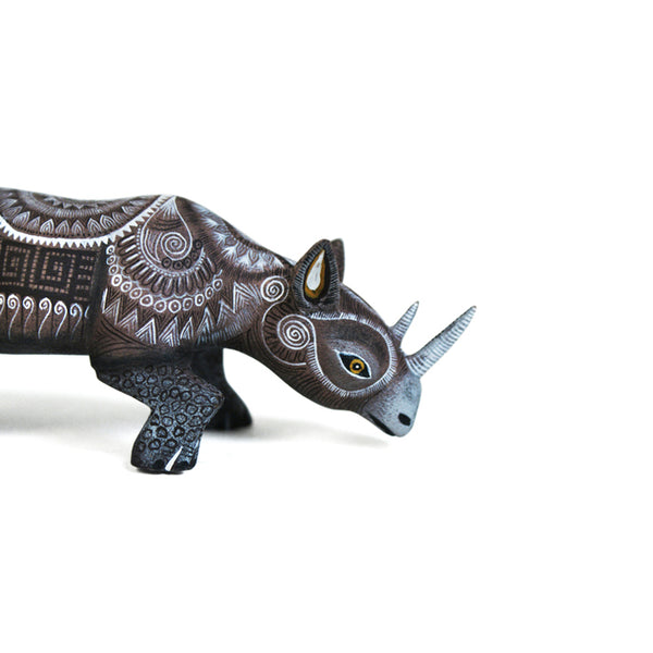 Raymundo & Catalina Fabian: Miniature Rhino