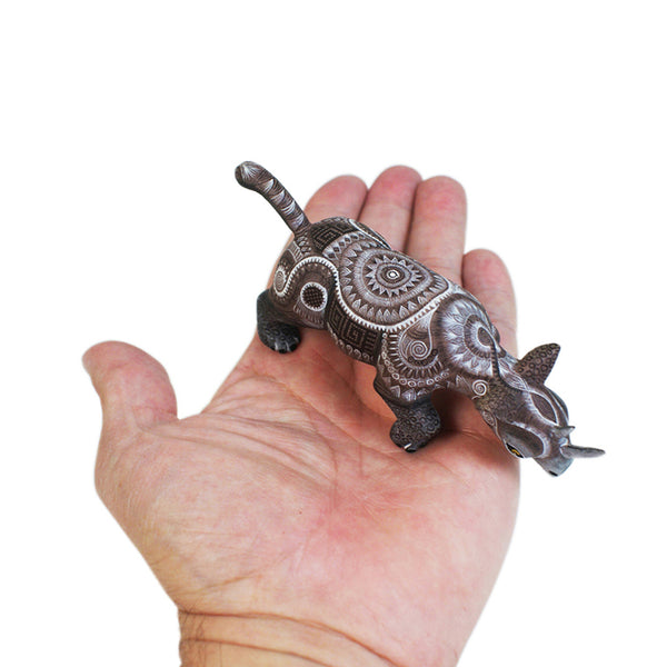 Raymundo & Catalina Fabian: Miniature Rhino