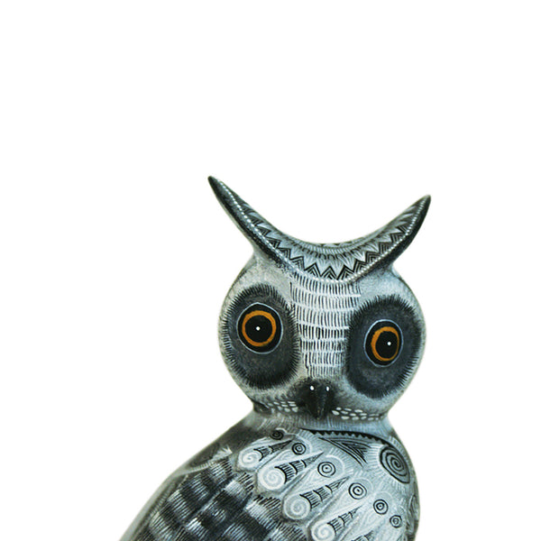 Raymundo & Catalina Fabian: Little Barn Owl