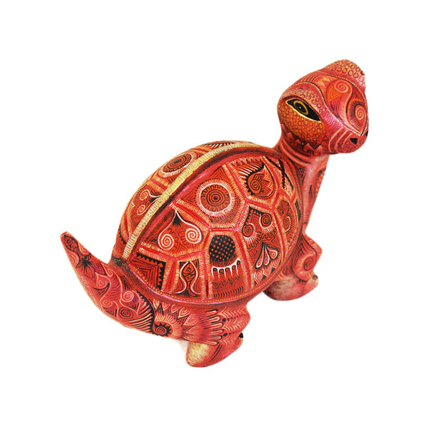 Raymundo & Catalina Fabian: Miniature Dinosaur Turtle