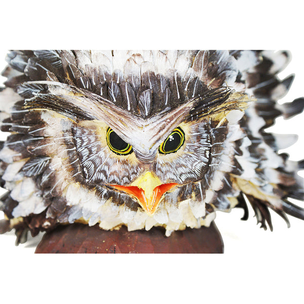 Tribus Mixes: Owl
