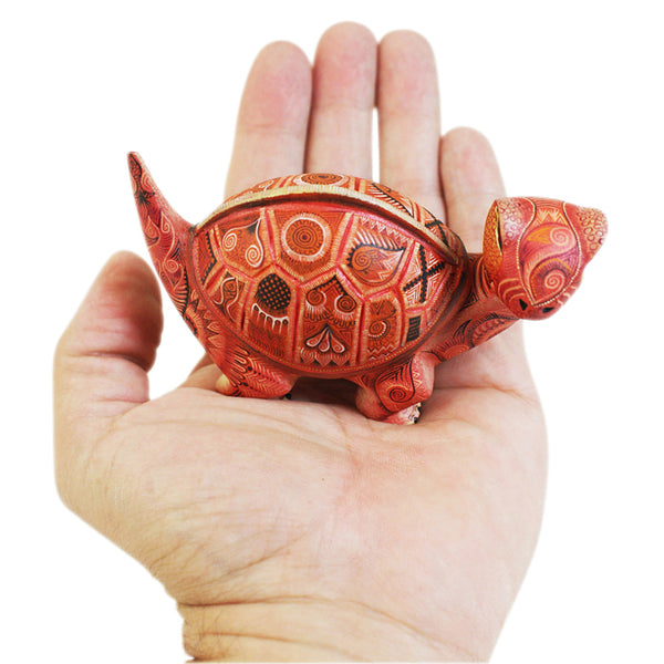 Raymundo & Catalina Fabian: Miniature Dinosaur Turtle