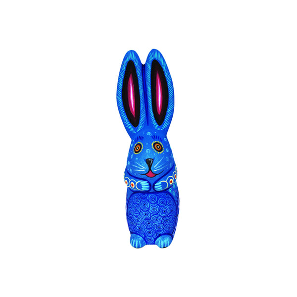 Neri & Soledad Cruz: Blue Little Rabbit