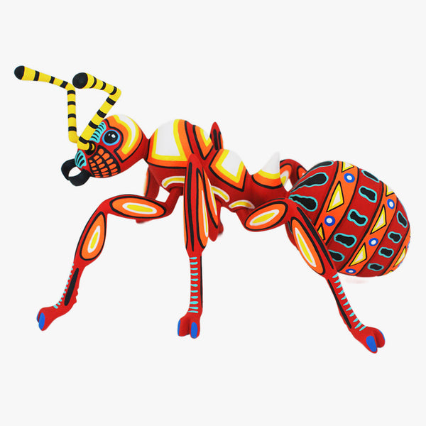 Luis Pablo: Spectacular Ant
