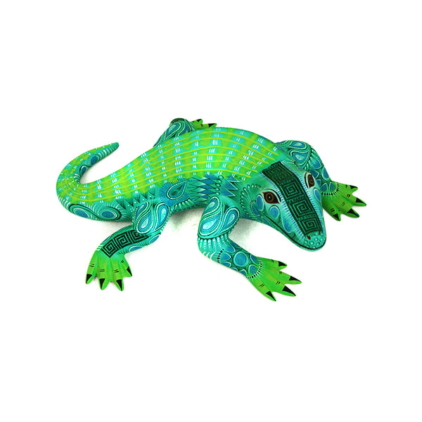 Rocio Fabian: Alligator