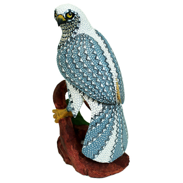 Tribus Mixes: Spectacular Falcon