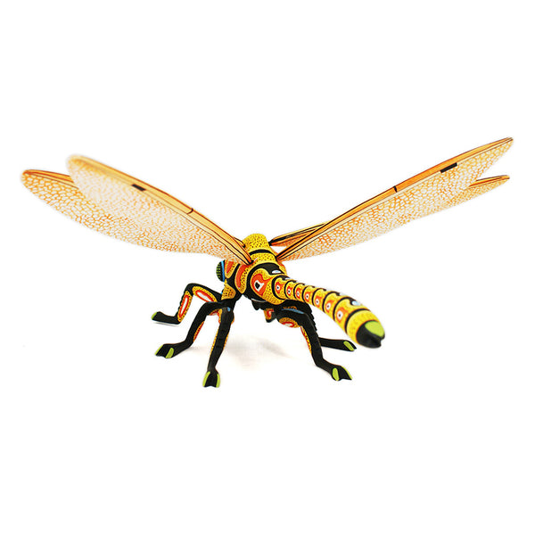 Luis Pablo: Impressive Dragonfly