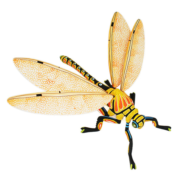 Luis Pablo: Impressive Dragonfly