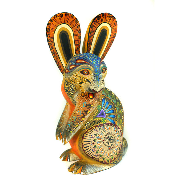Laura Hernandez: Rabbit