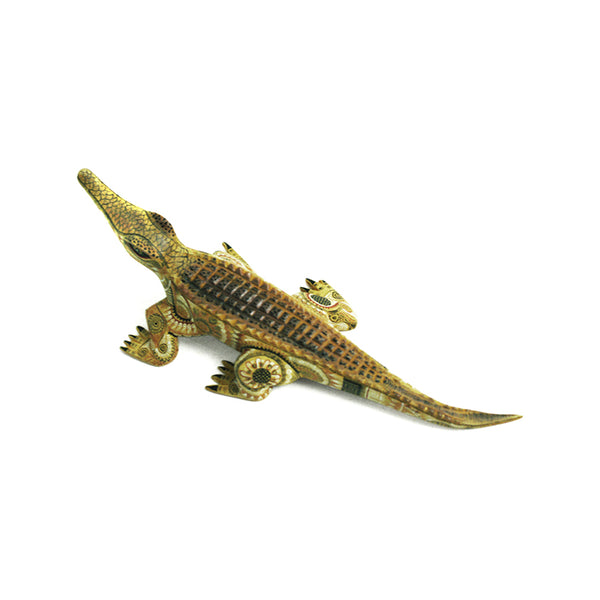Raymundo & Catalina Fabian: Miniature Alligator