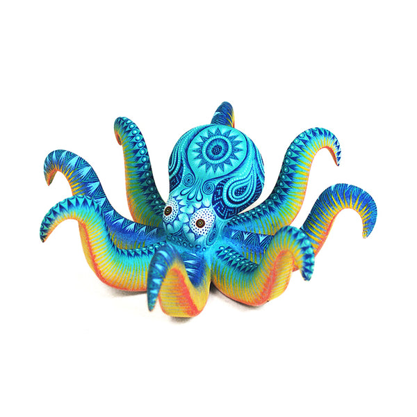 Rocio Fabian: Little Octopus