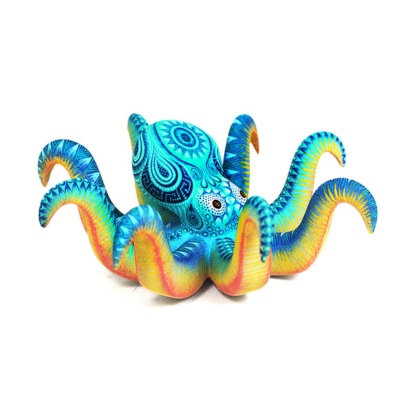 Rocio Fabian: Little Octopus