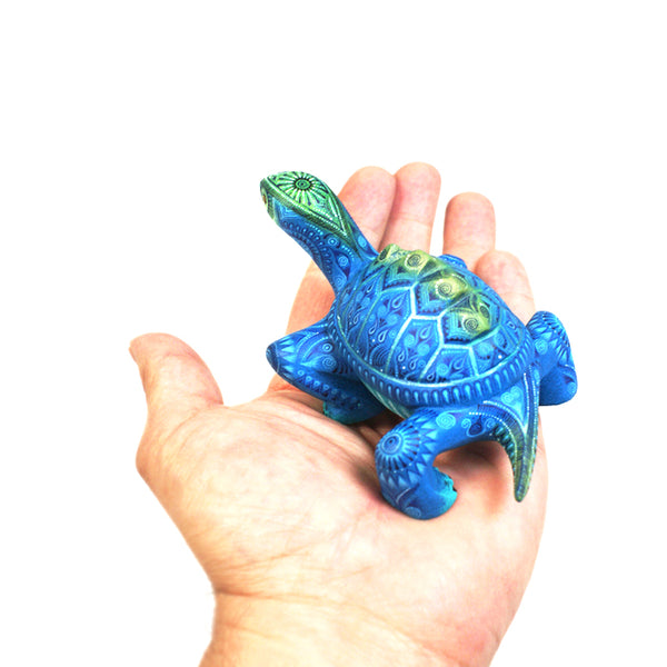 Tereso Fabian & Angelica Fabian: Miniature Turtle