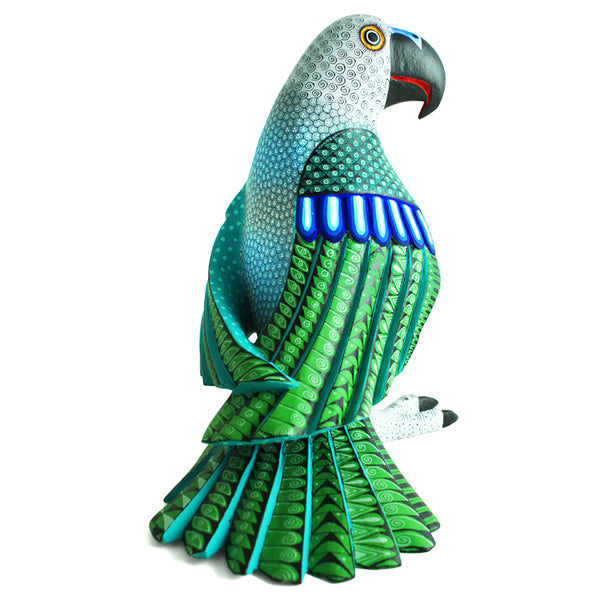 Eduardo & Karina Fabian: Spectacular Parrot
