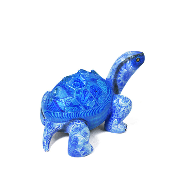 Raymundo Fabian: Beautiful Miniature Turtle